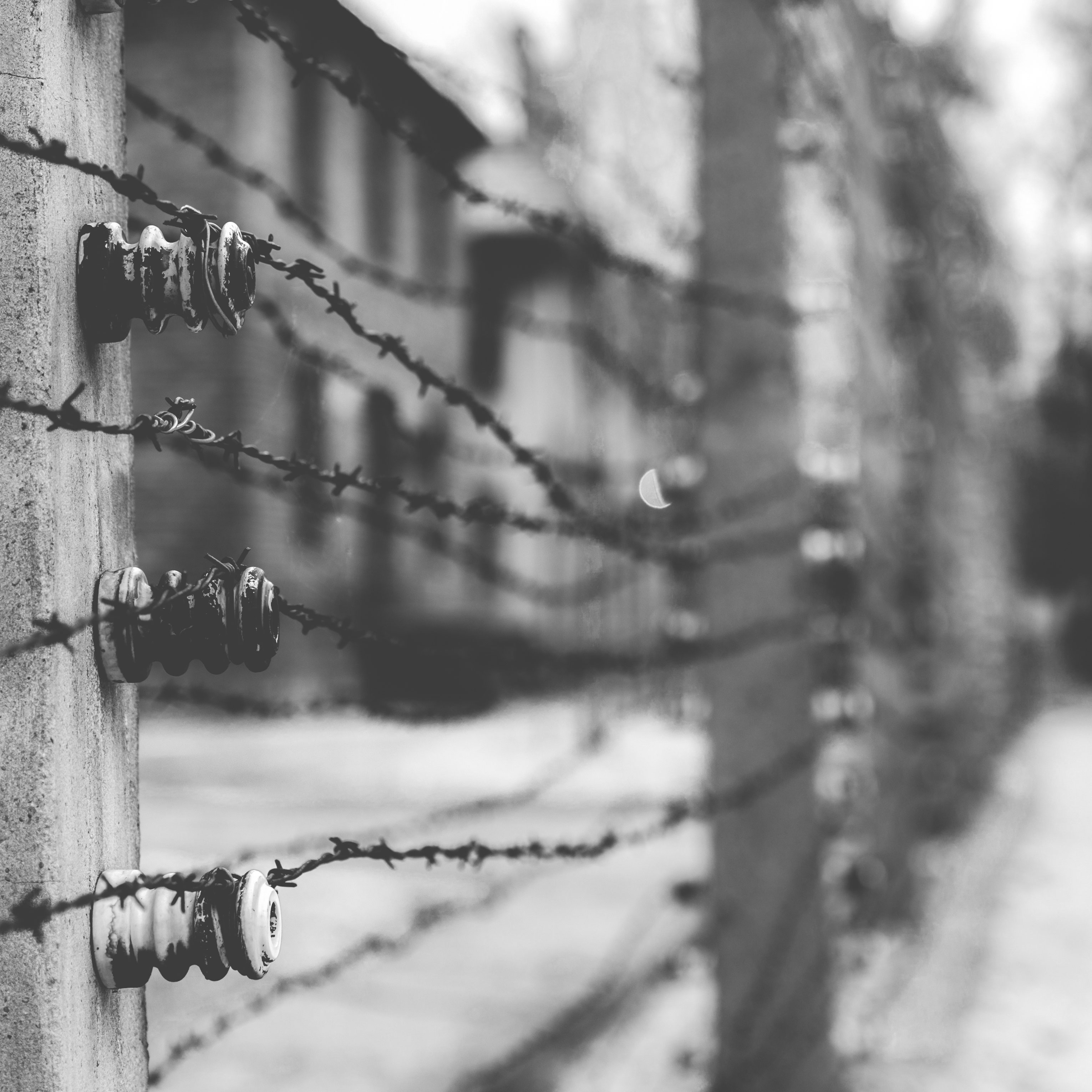 Zaun in Auschwitz levgen Skrypko AdobeStock